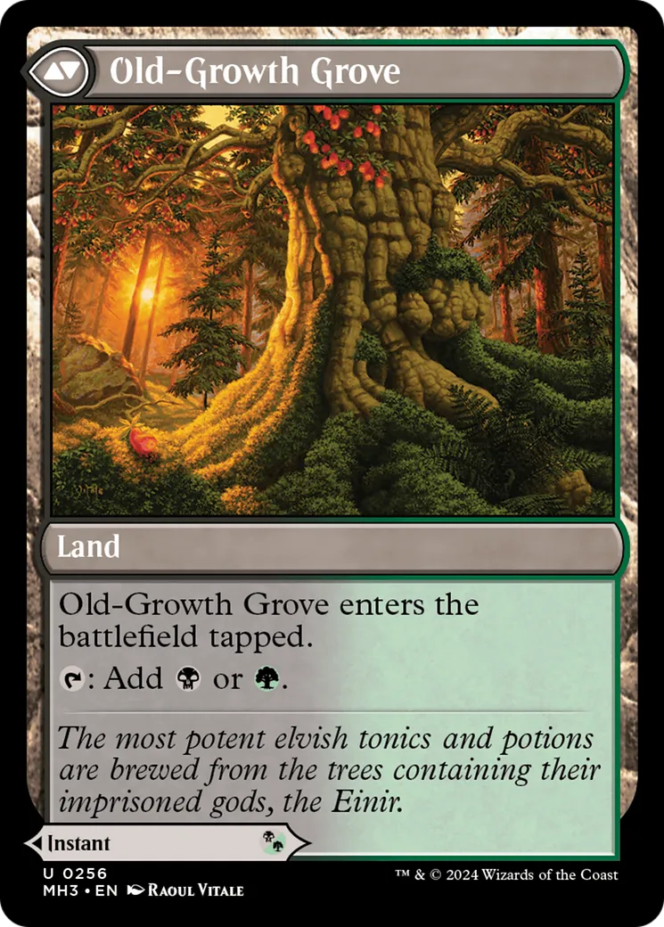 Revitalizing Repast // Old-Growth Grove back