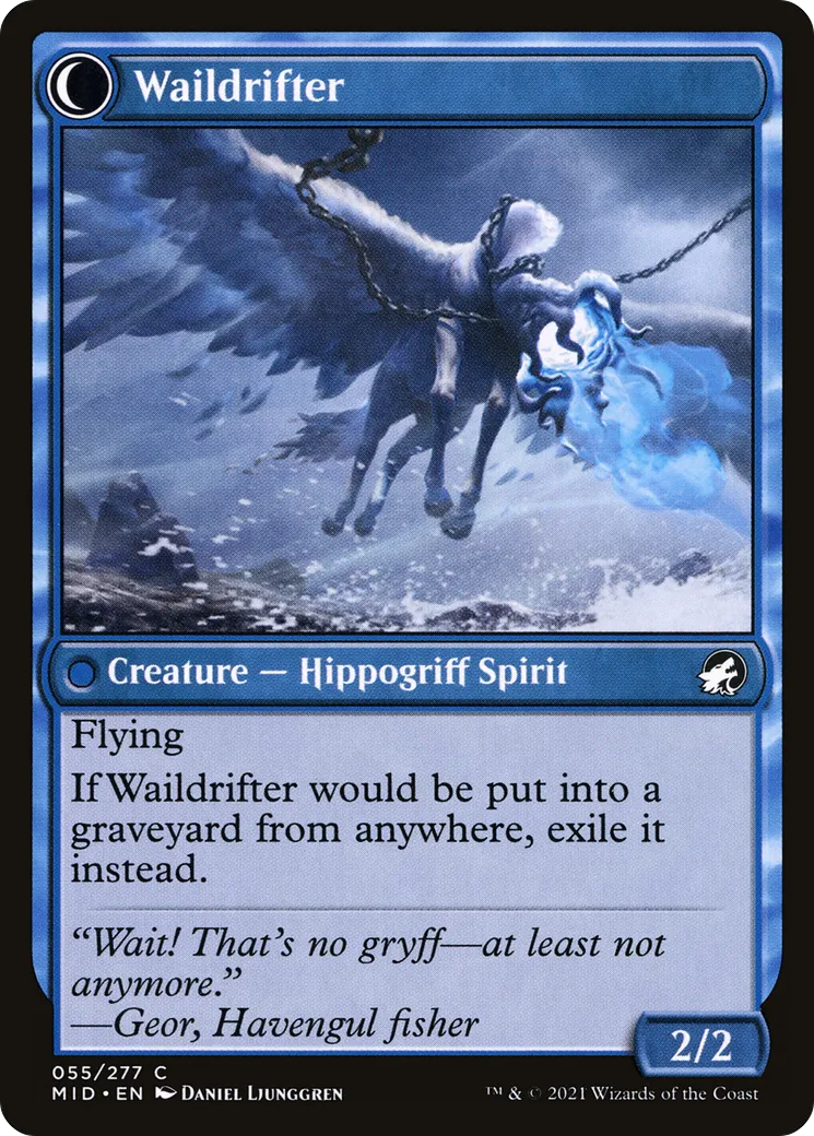 Galedrifter // Waildrifter back