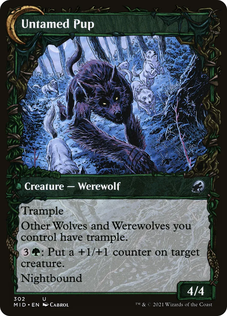 Hound Tamer // Untamed Pup back
