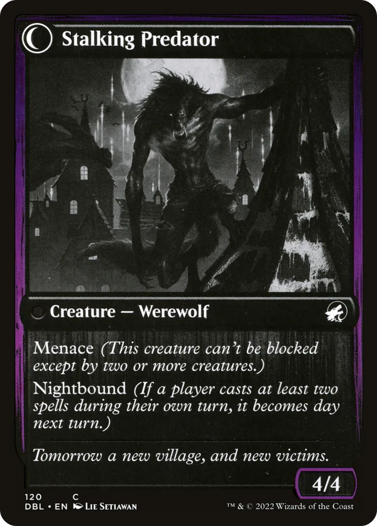 Shady Traveler // Stalking Predator back