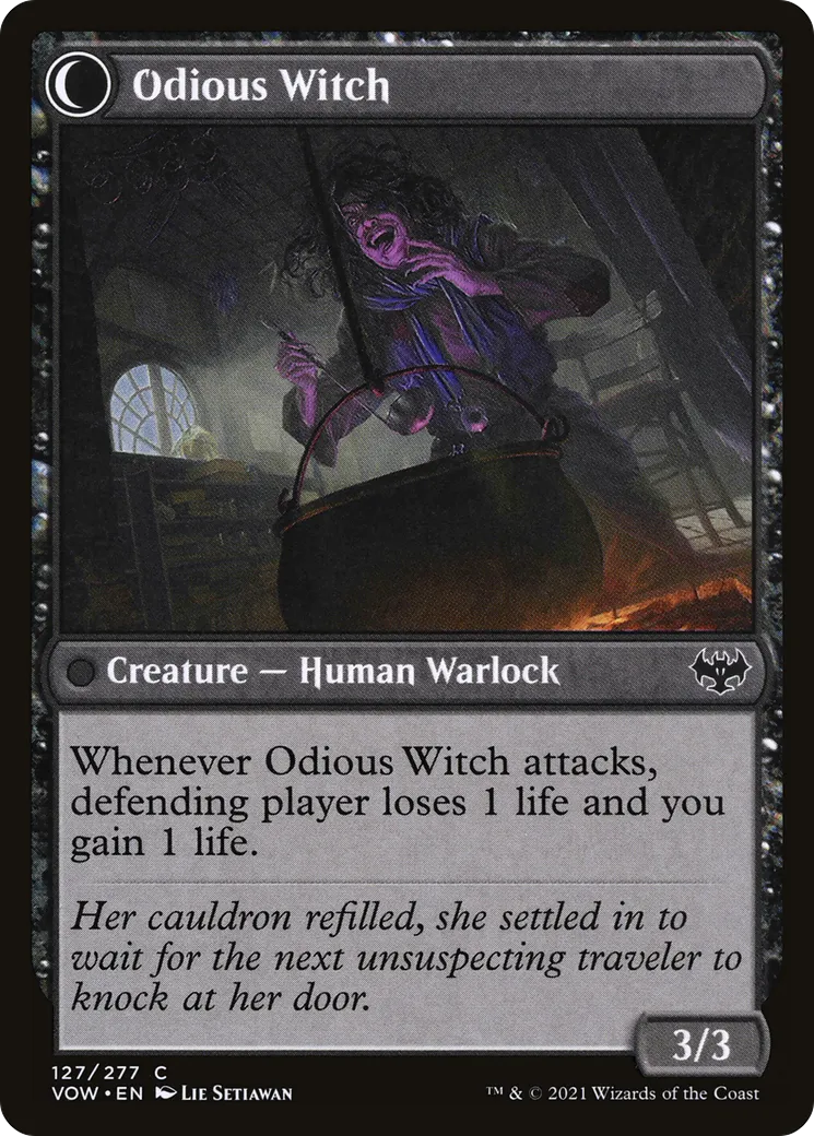 Ragged Recluse // Odious Witch back