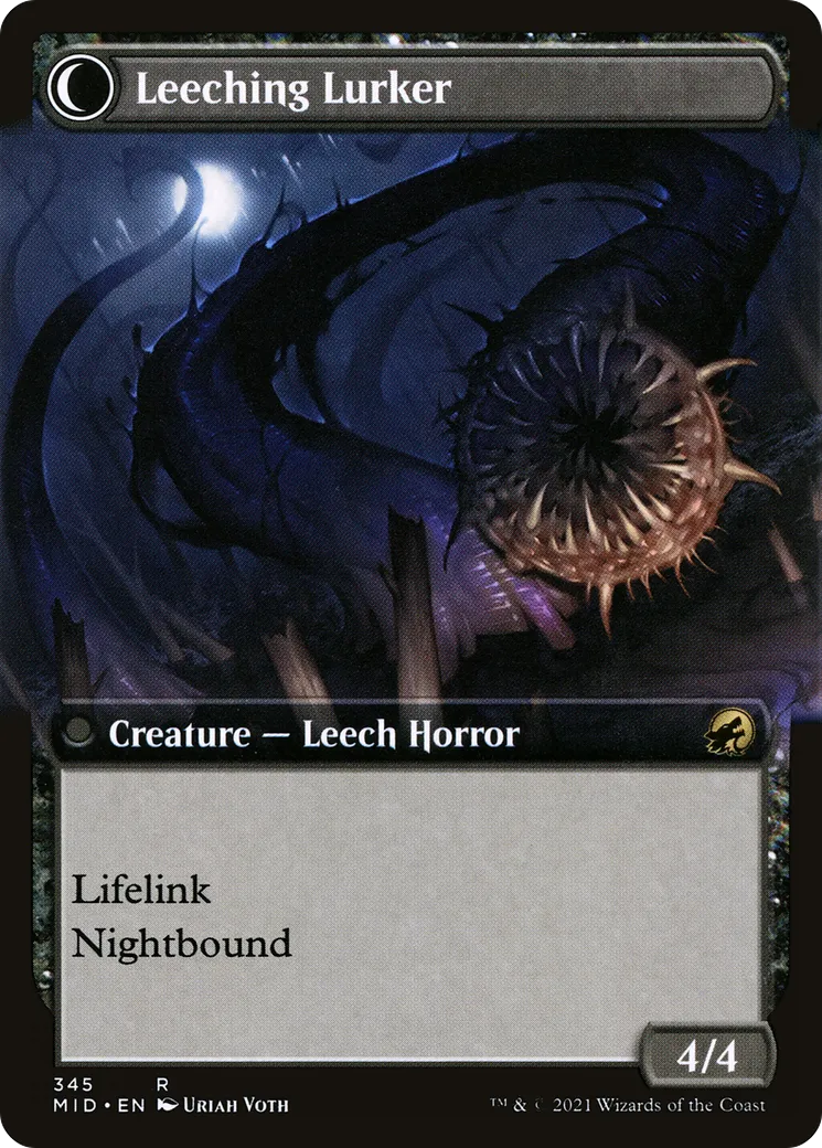 Curse of Leeches // Leeching Lurker back
