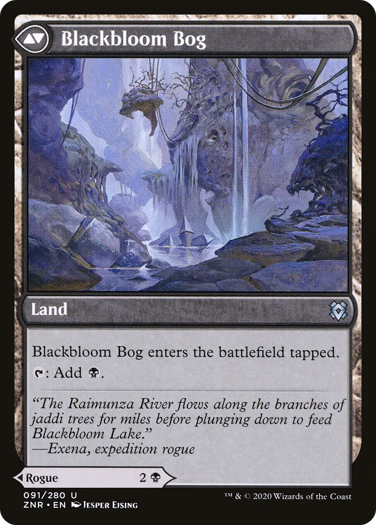 Blackbloom Rogue // Blackbloom Bog back