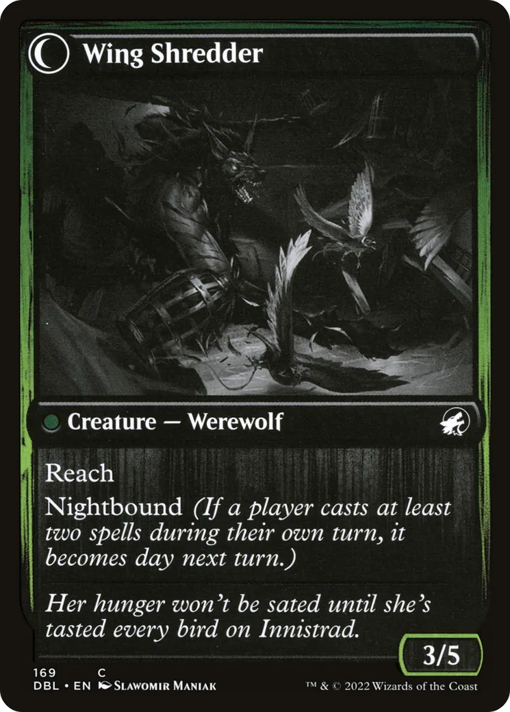 Bird Admirer // Wing Shredder back