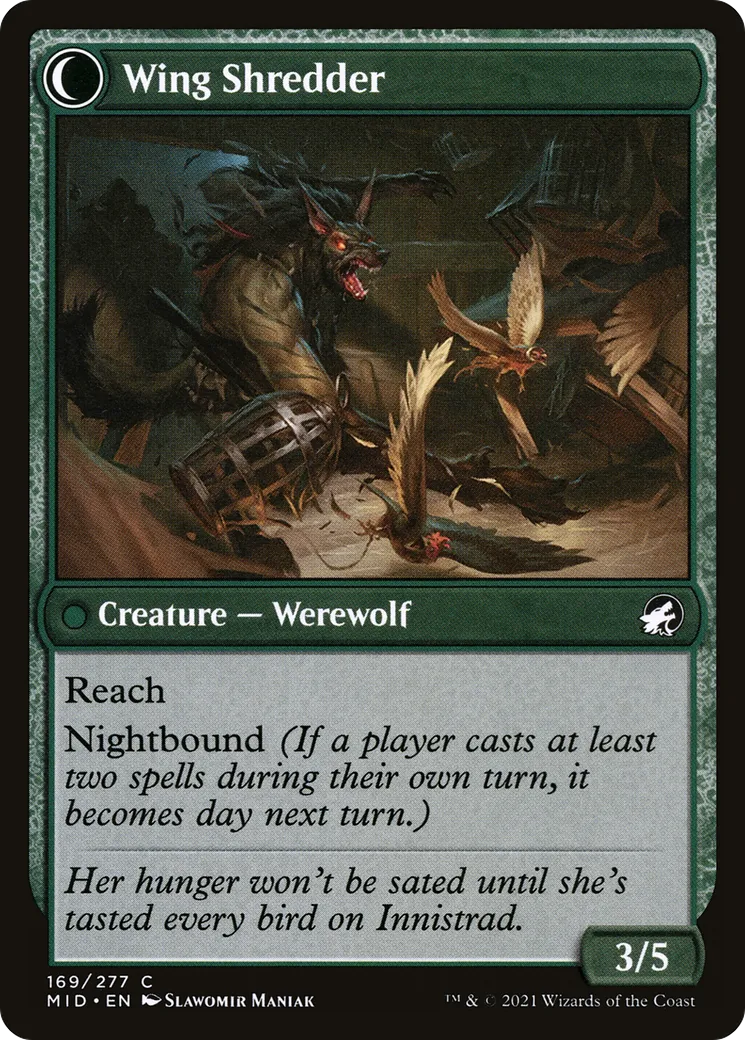 Bird Admirer // Wing Shredder back