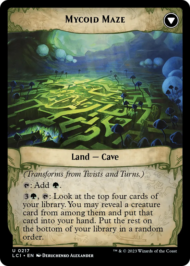Twists and Turns // Mycoid Maze back