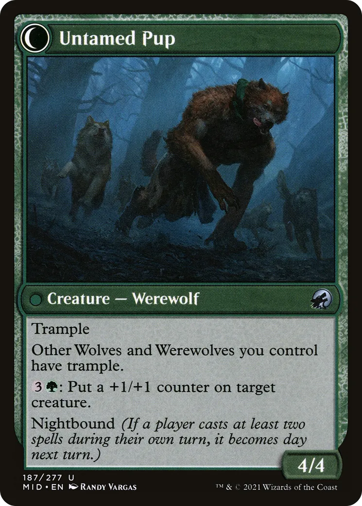 Hound Tamer // Untamed Pup back