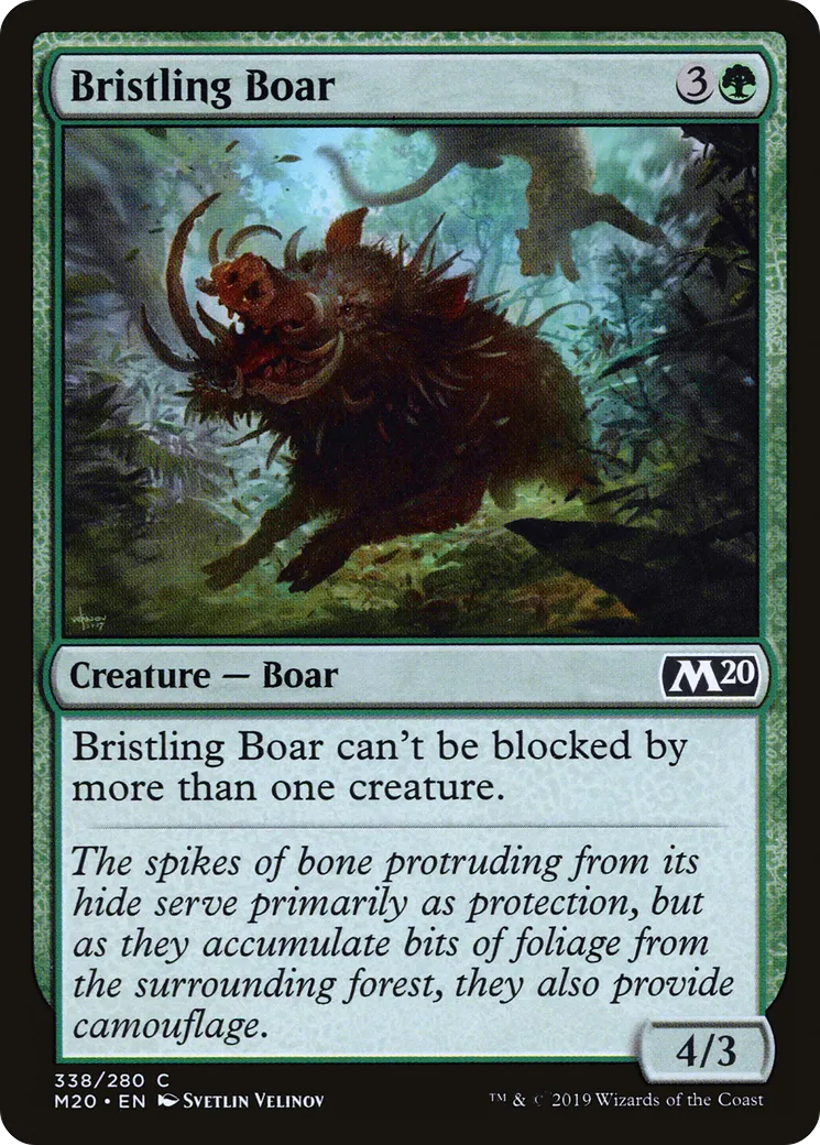 Bristling Boar