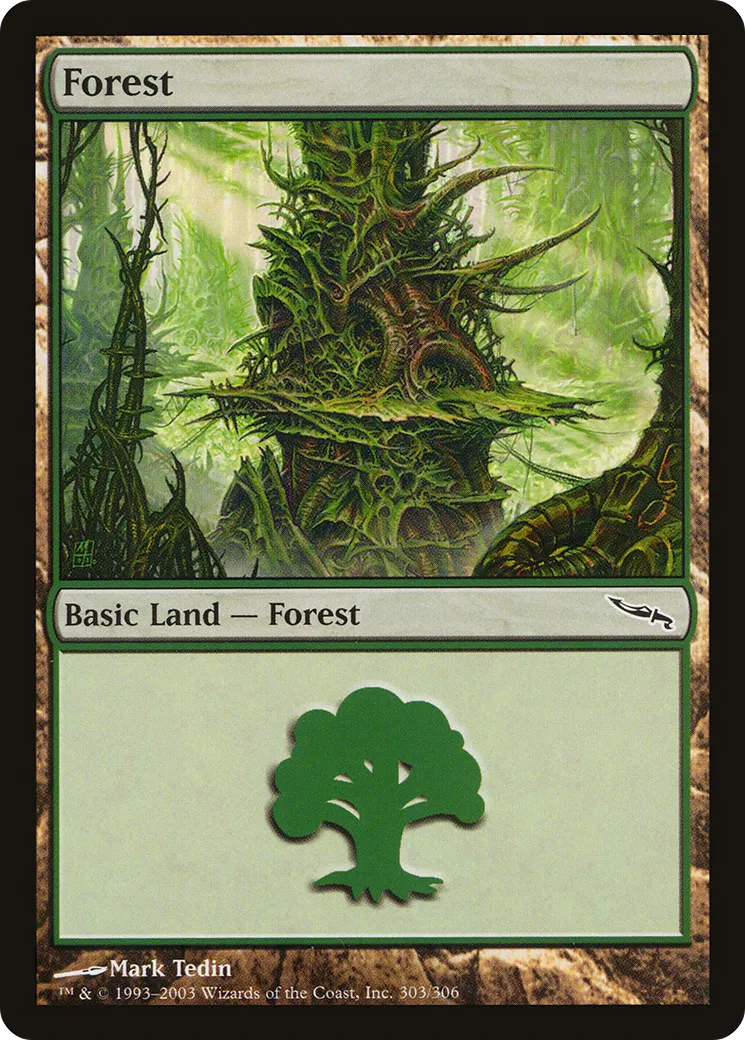 Forest