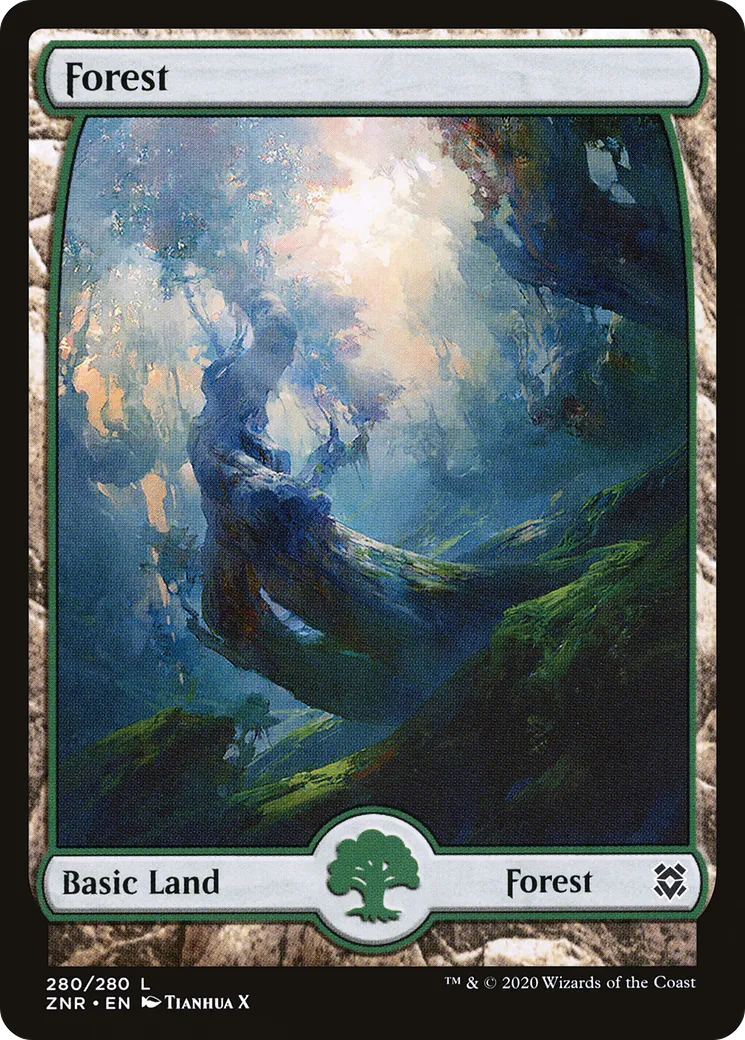Forest