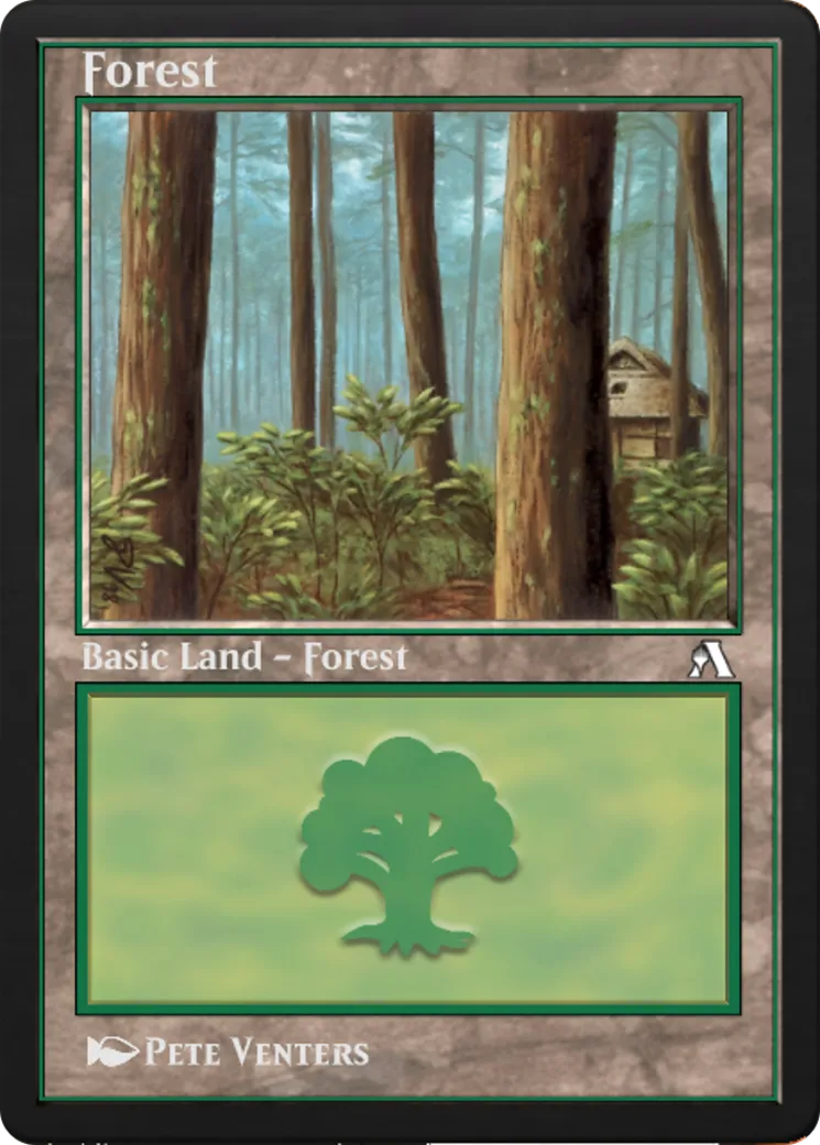 Forest
