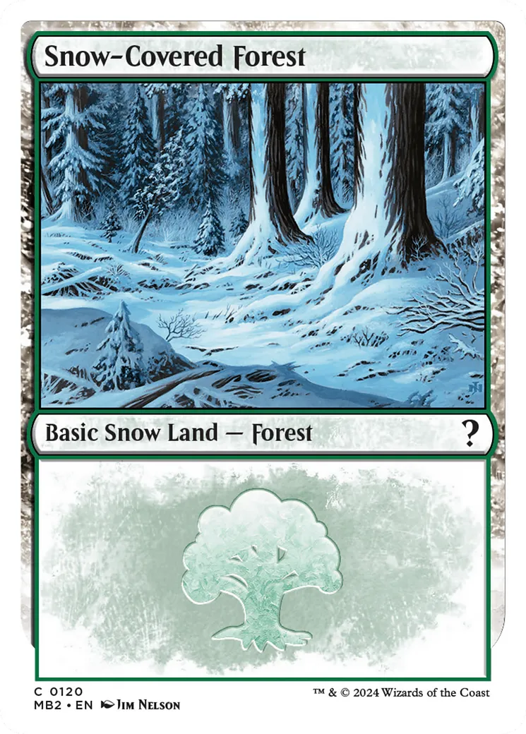 Snow-Covered Forest