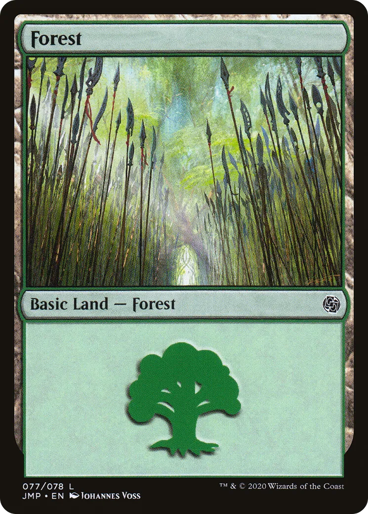 Forest