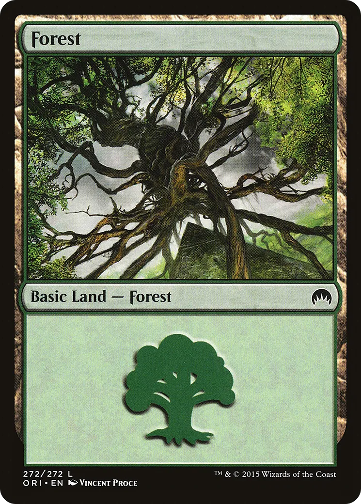 Forest