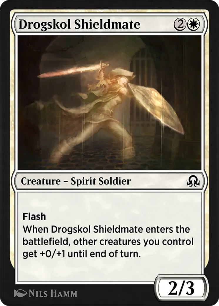 Drogskol Shieldmate