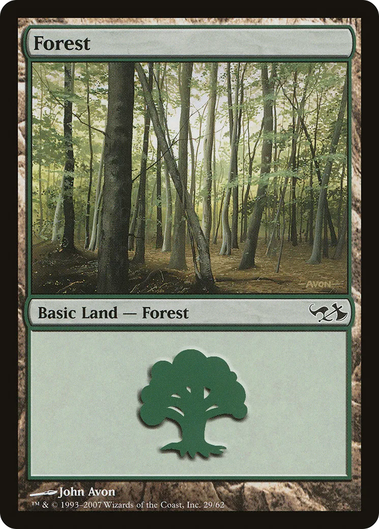 Forest