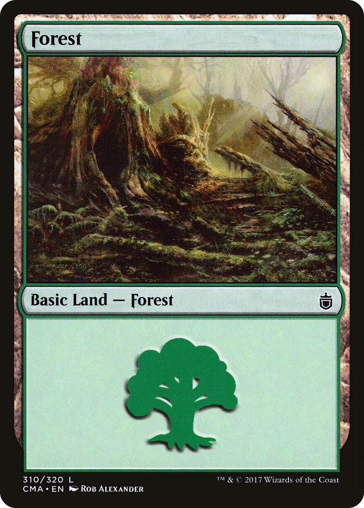 Forest