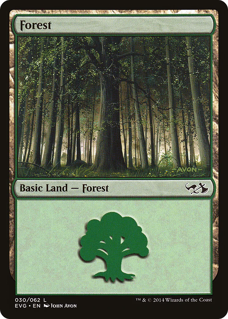 Forest