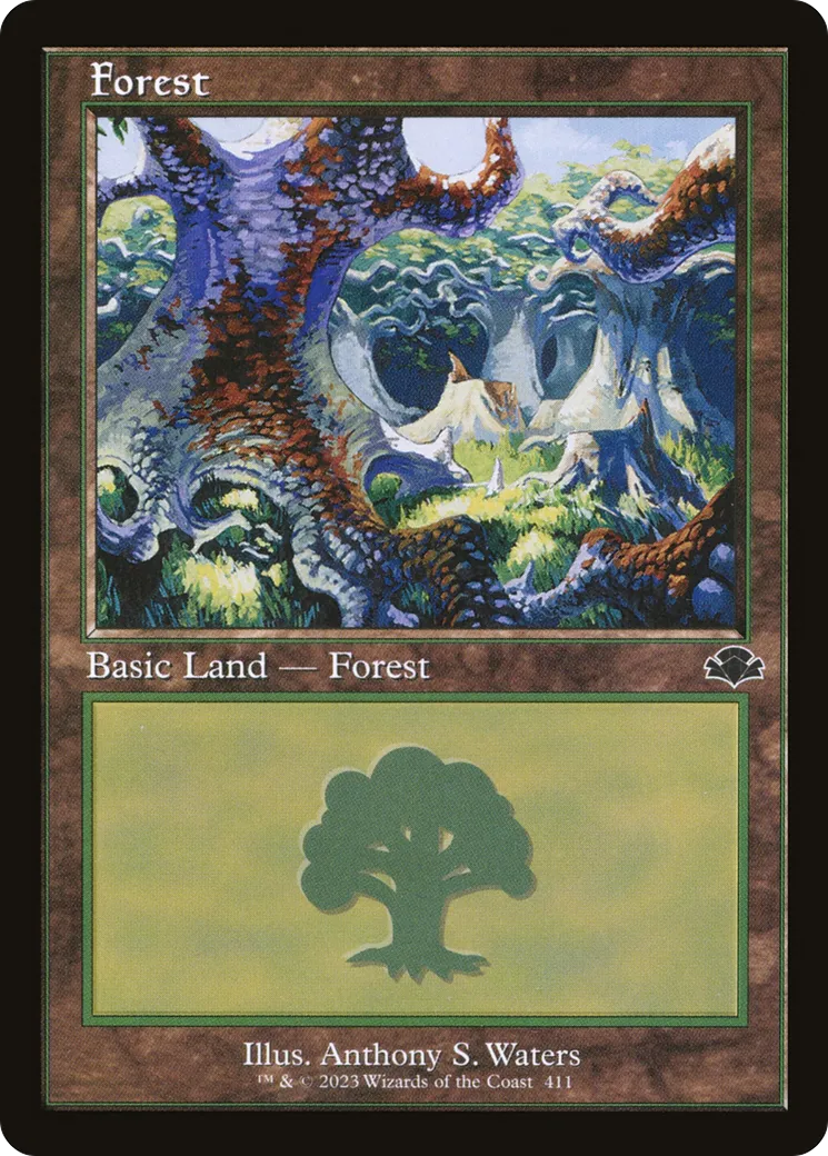 Forest