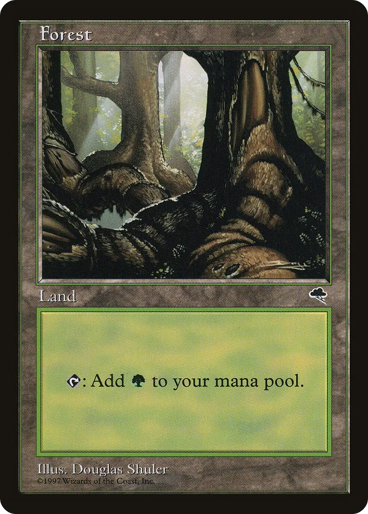Forest