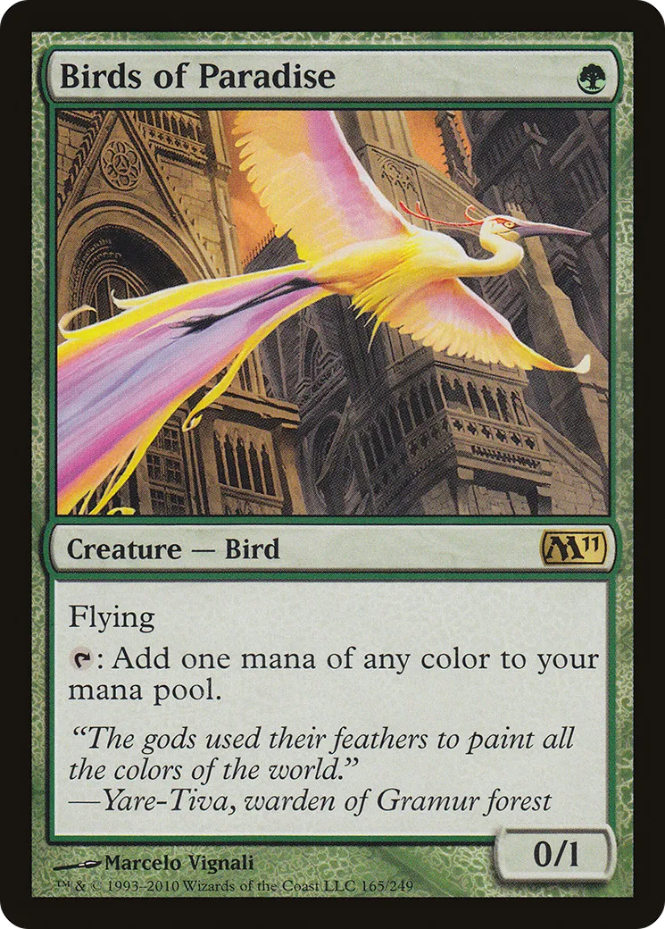 Birds of Paradise